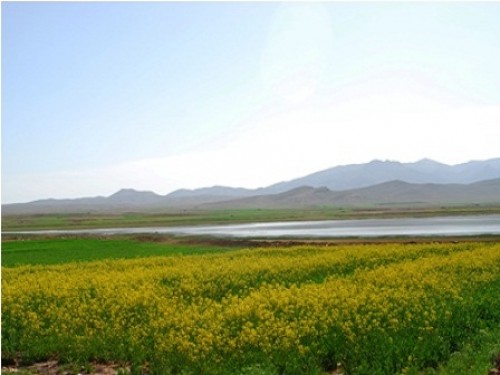 تالاب چغاخور