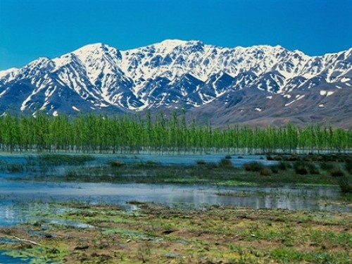 تالاب چغاخور