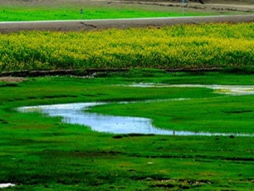 تالاب چغاخور